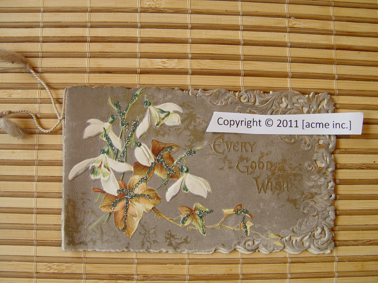 http://www.acme-inc.co.uk/greetingscards/DSC05487.jpg