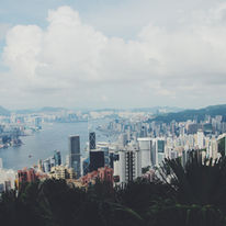 香港传统茶文化体验