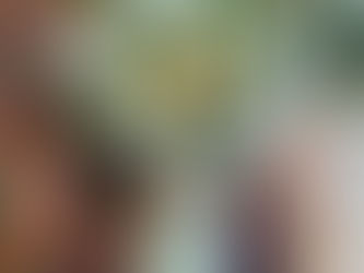 باقة ورد للخريجات: أجمل هدية تعبّر عن الفرح والنجاح