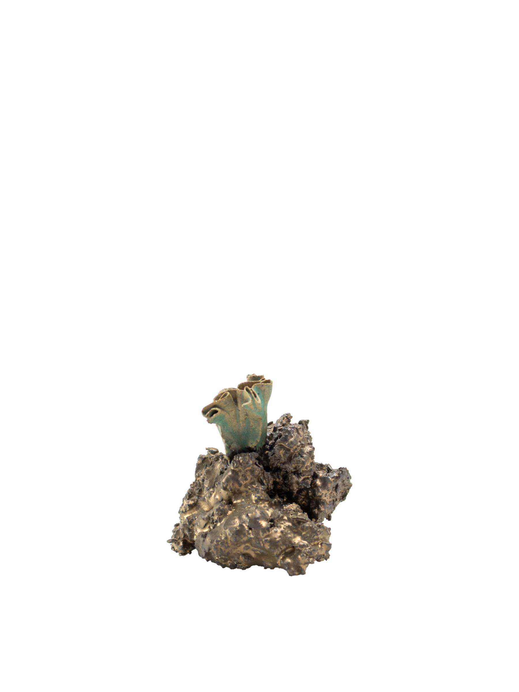 Cosmic coral A