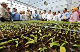 Ministerio de Agricultura le apuesta a la innovación agrícola