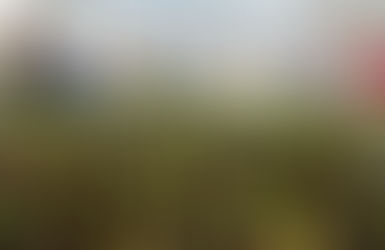 Ministerio de Agricultura le apuesta a la innovación agrícola