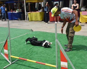 La Fiesta de Animales llega a El Poblado