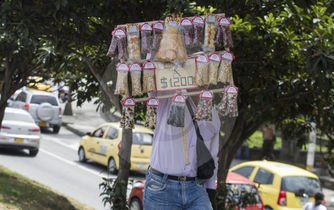 Informalidad laboral en Medellín en 2016 cae hasta 42,2%: DANE