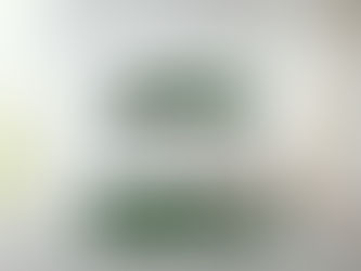 Thank you Mr Sandman