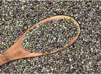 HEMP: ALL OF THE GOODNESS IT HAS TO OFFER + HOW WE CAN EASILY INCORPORATE IT INTO OUR ROUTINE