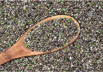 HEMP: ALL OF THE GOODNESS IT HAS TO OFFER + HOW WE CAN EASILY INCORPORATE IT INTO OUR ROUTINE