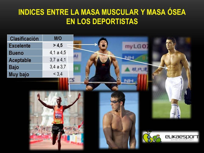 IMPORTANCIA DEL INDICE ENTRE LA MASA MUSCULAR Y OSEA DEL DEPORTISTA