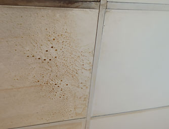 Ceiling cleaning before and after