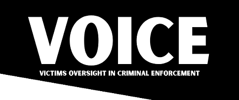 VOICE new logo (4).png
