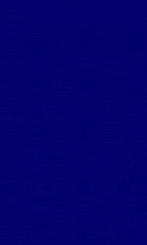 Copy of 🚀 (1).gif