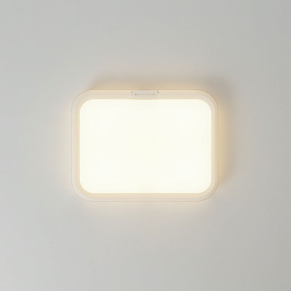 Portable Light Pad
