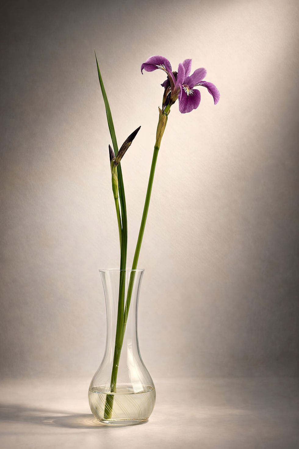 Elegy in Violet _2