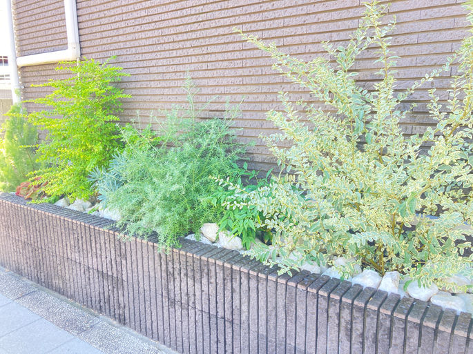 戸建て　花壇植栽　デザイン　施工