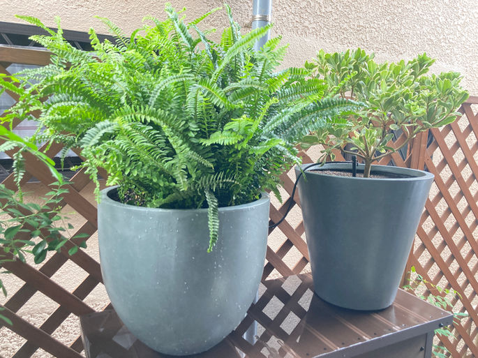 戸建て　デッキ　プランター植栽