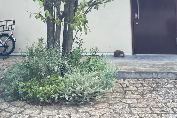 大田区個人邸　戸建ての外構スペース　植栽デザインと施工