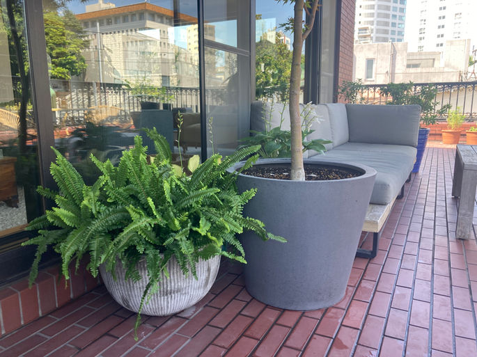 マンション　バルコニーガーデン