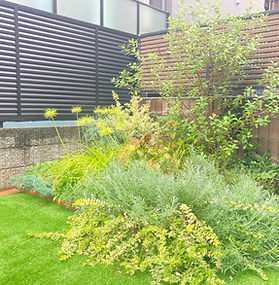 新宿区個人邸 戸建てのガーデン植栽デザインと施工　庭づくり