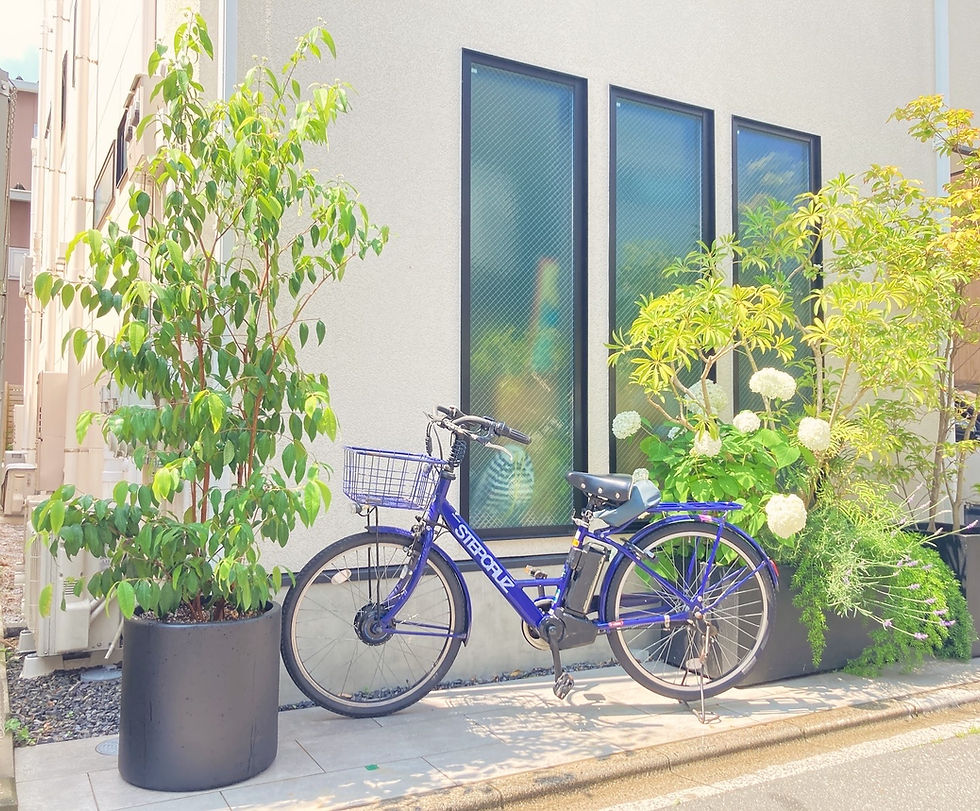 戸建て プランター植栽