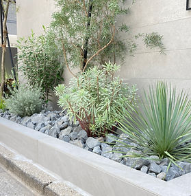 文京区個人邸　戸建て外構花壇植栽デザインと施工　シンボルツリー