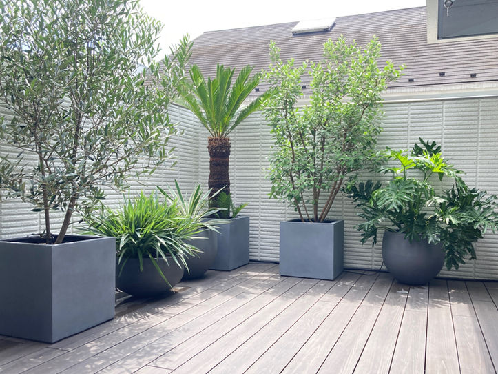 練馬区 戸建て インナーバルコニーの植栽デザイン・施工。室内グリーンの提案からバルコニー植栽まで、緑で屋内外の境界を曖昧にし、空間の繋がりを感じるご提案。