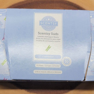 box of scentsy suds