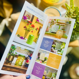 the march edit brochure being held in a hand