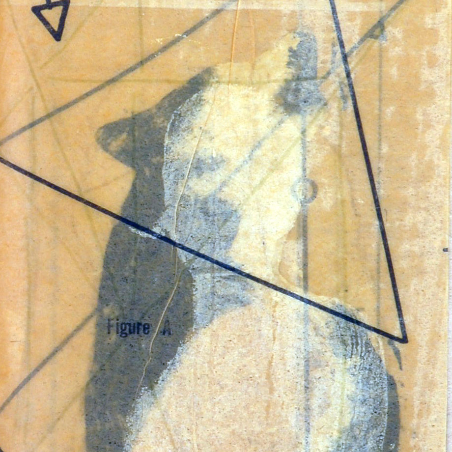 A study in self portraits, 