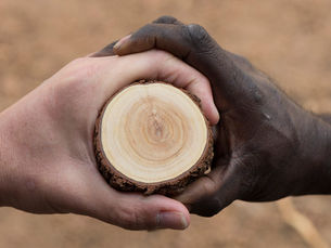 Unlocking the Secrets of Australian Sandalwood: 5 Compelling Reasons to Elevate Your Skincare Ritual