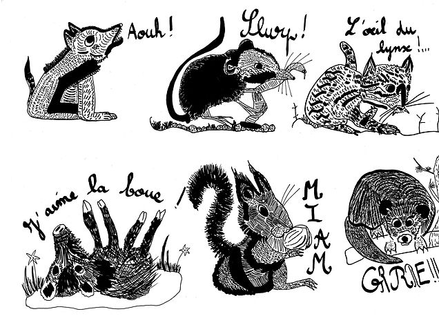 planche animaux forêt.jpeg