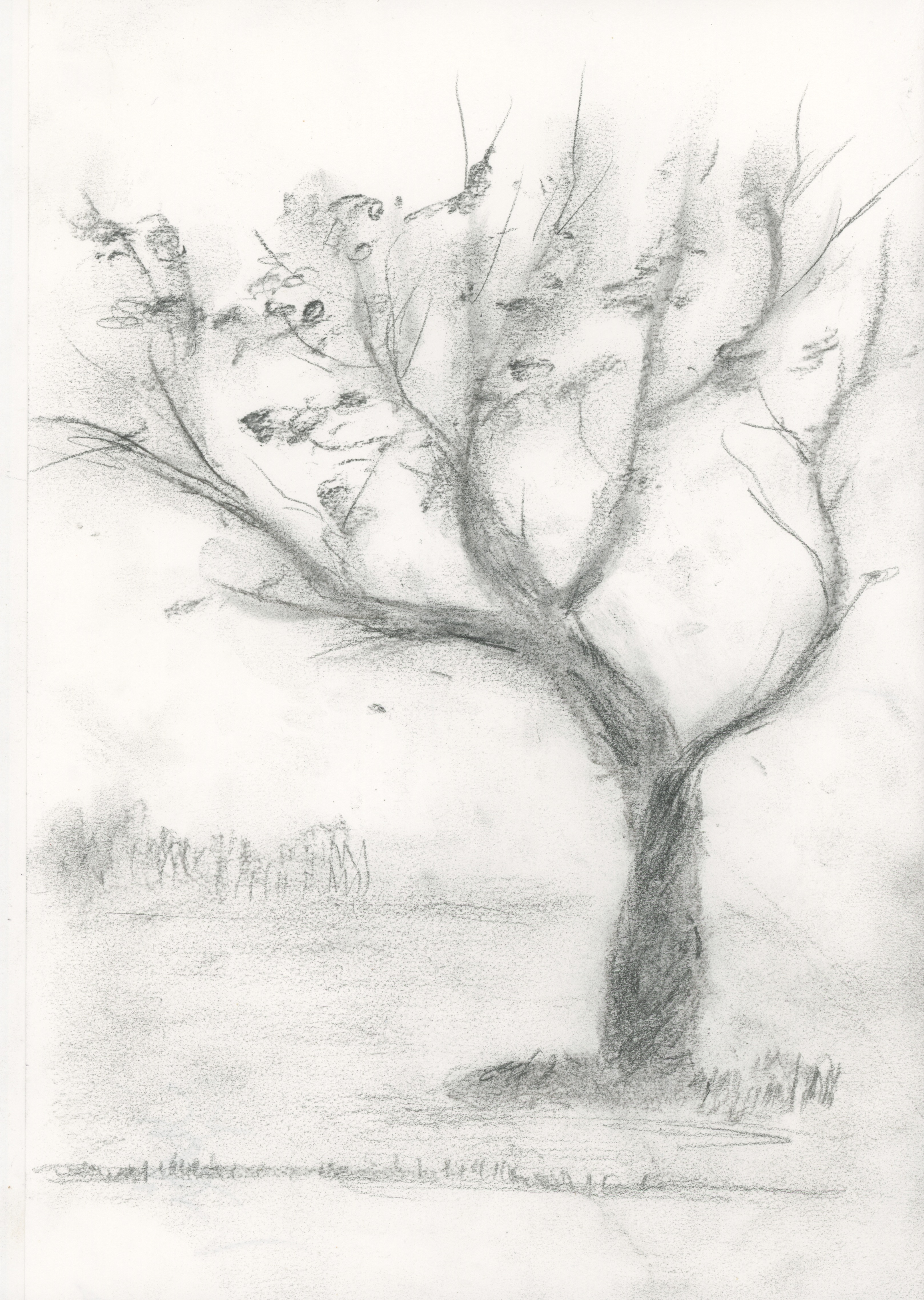 Mood Art; Cherry