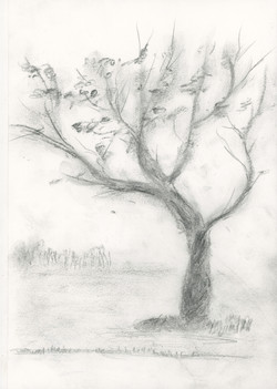 Mood Art; Cherry
