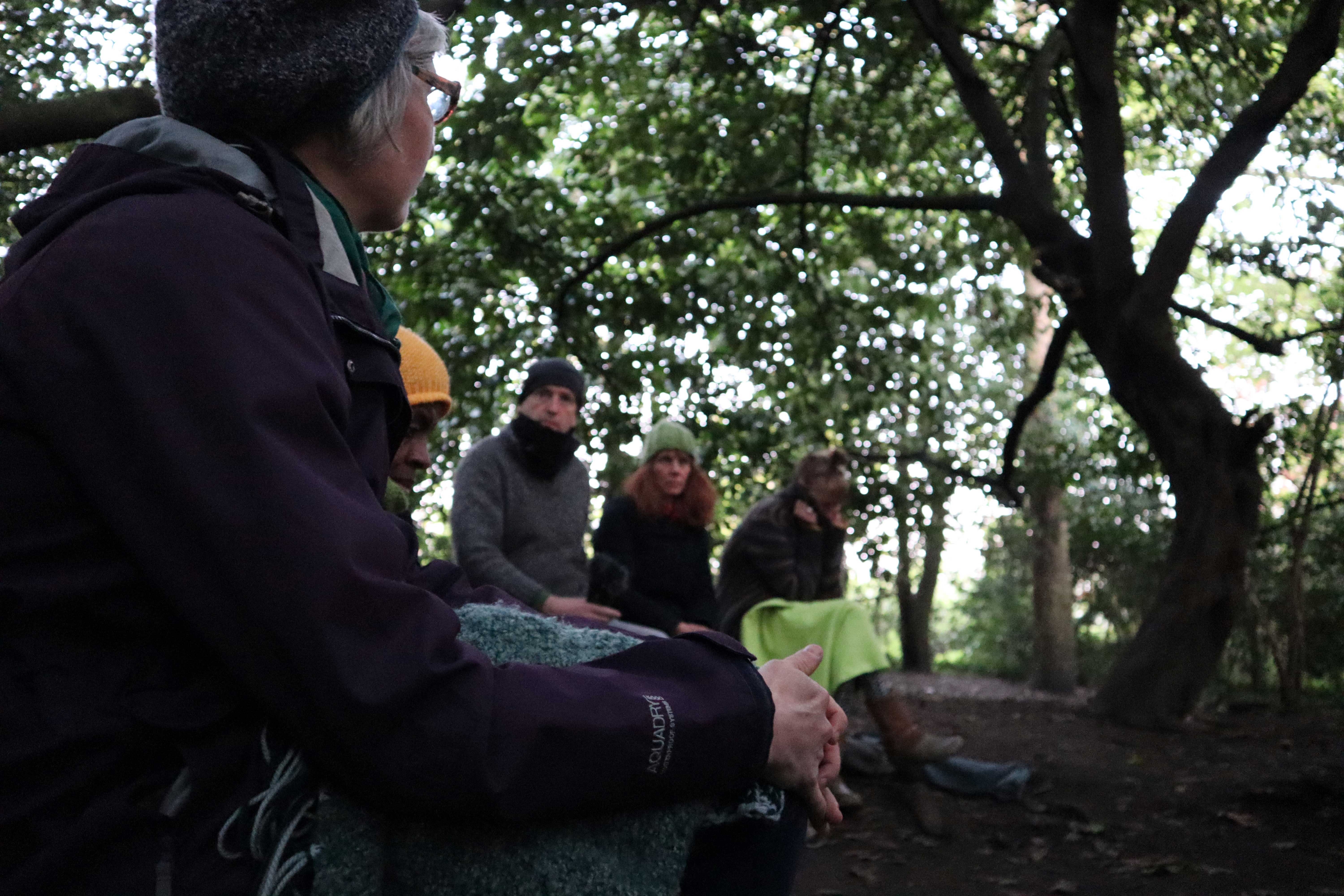 Dawn Chorus