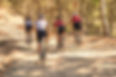 B6F909D9-D40C-4CE2-A98D-573159D1D5AE_edited.jpg