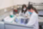 Laboratory work