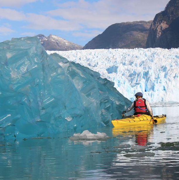 Le Labyrinthe austral