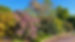 Jardin 1.jpg