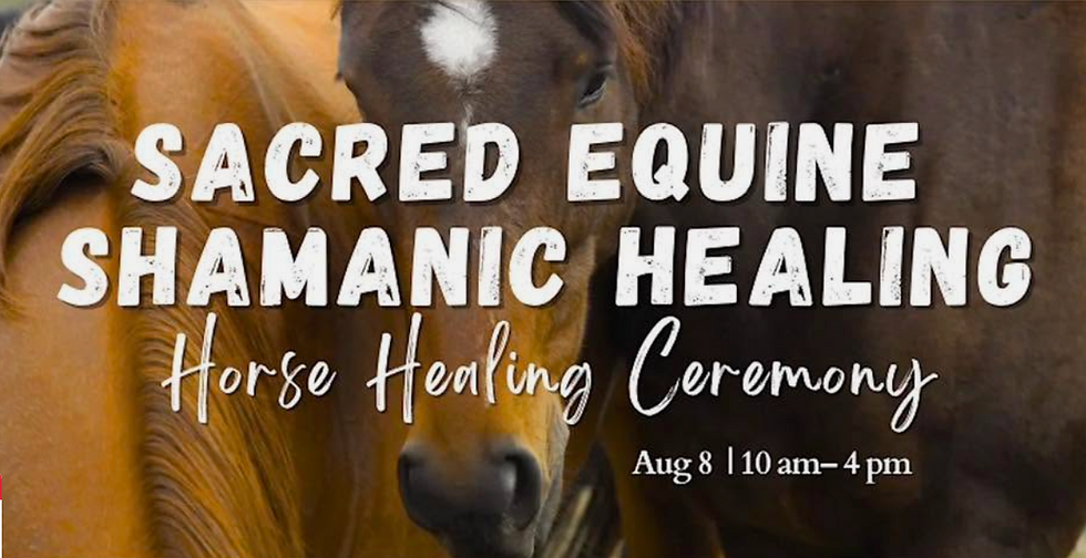 Equine Shemanic Healing Ceremony with The Horses