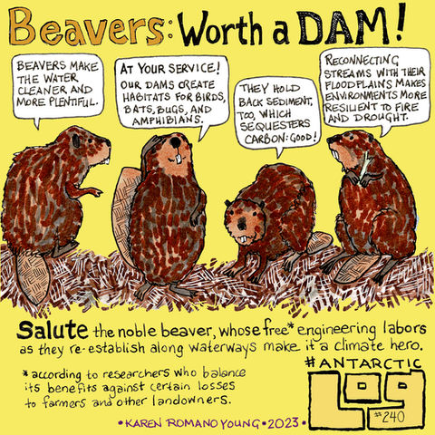 Log 240 January 13 2022.jpg