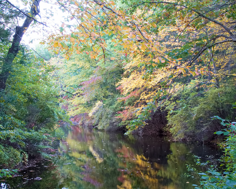 Bigalow Hollow 10-11-21c