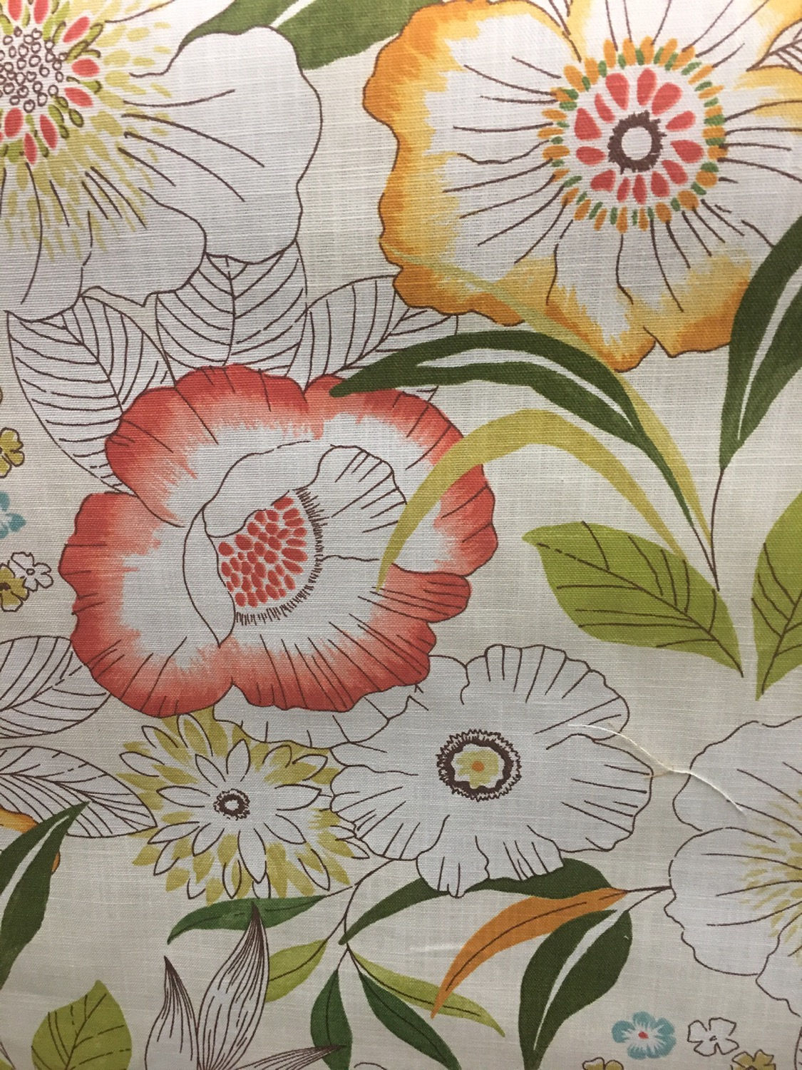 #655-11 Amaganse Sorbet 