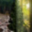 EcoBenefits_1