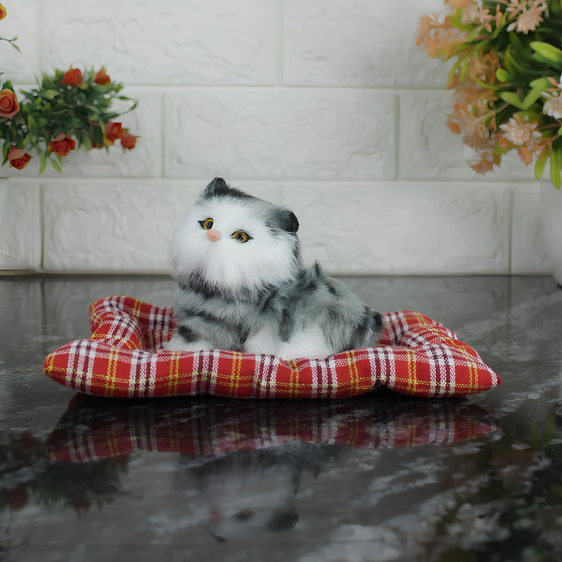 Grey Sitting Cat With Mat