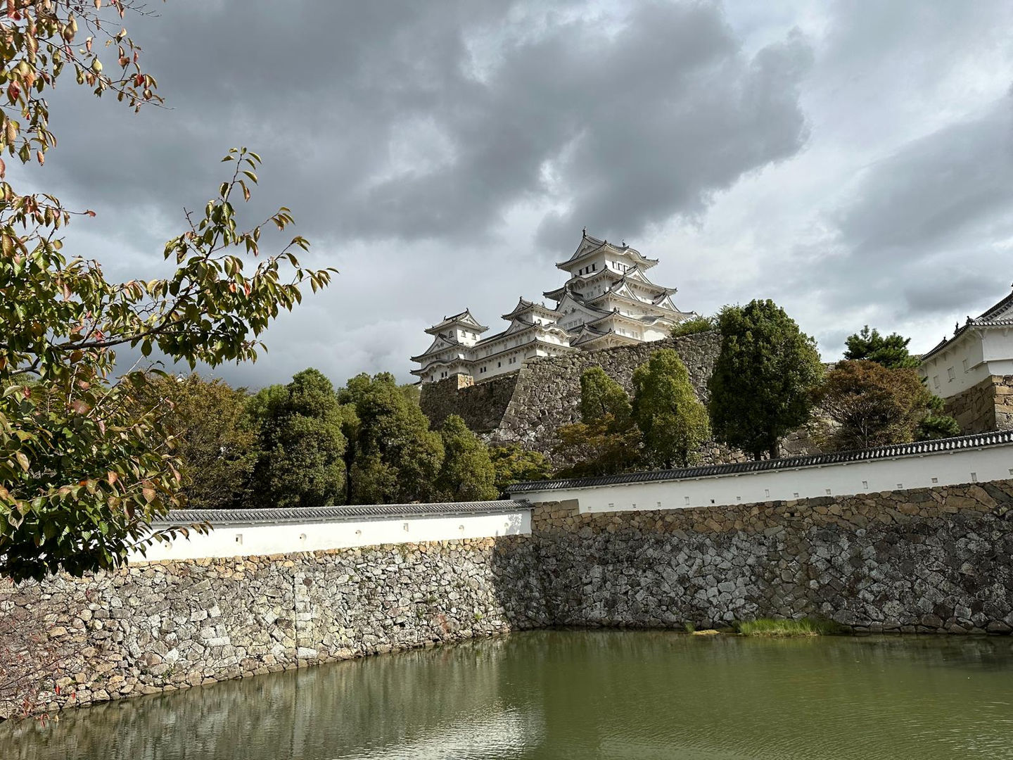 a74eb8b5-eaad-4536-acb3-a08dc5bca8f0