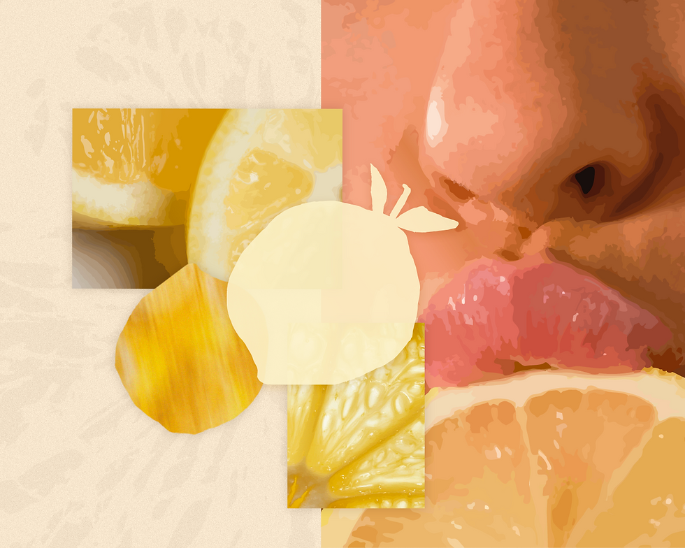 LIMAO BANNER PORT.png