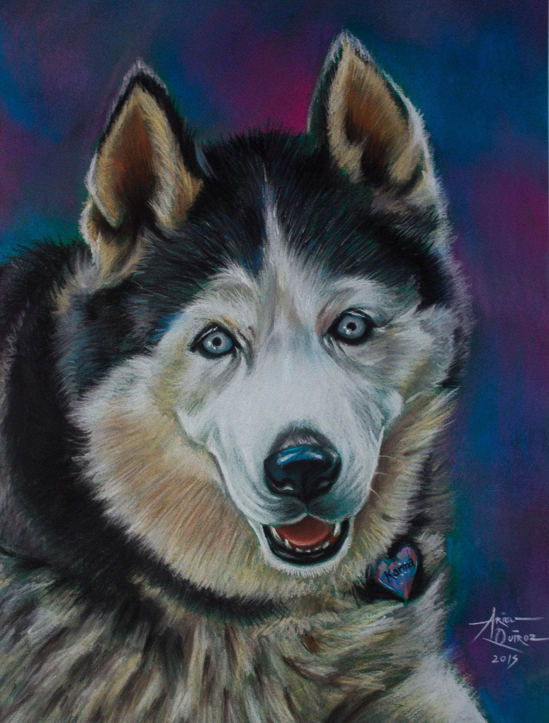 Husky dog pet portrait by Ariel Quiroz