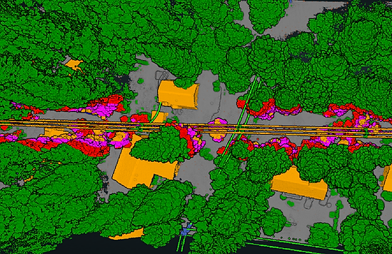 Top down view of a classified point cloud showing a conjested powerline sytem in a semi-urban setting