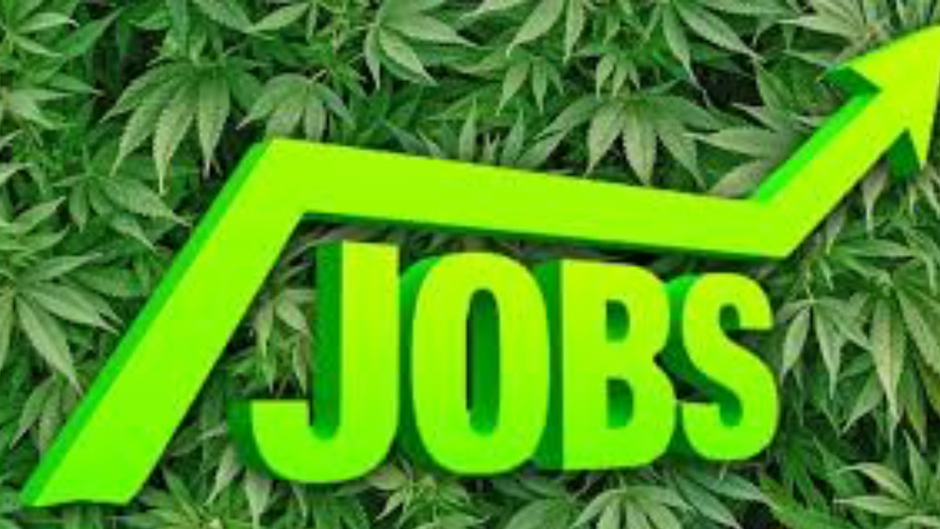 Calling All Coders: The Pot Industry Is Tech-Hungry
