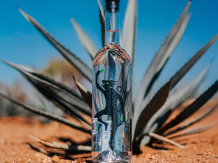 Reconocimiento histórico para el mezcal mexiquense