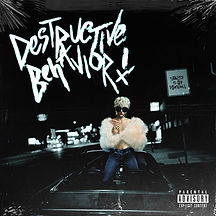 Destructive Behavior.jpg